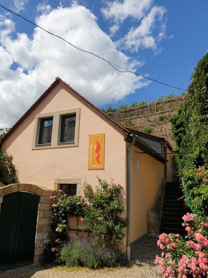 Unterkunft Am Weinberg Nunchritz Екстер'єр фото